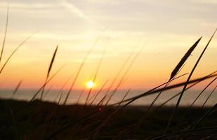 Sonnenuntergang in den Dünen foto