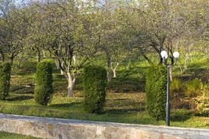 eine malerische Aussicht mit Blumen entlang der Allee im patriarchalischen Garten. Wladimir, Russland foto