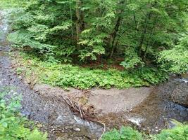 bergkurve fluss grüner laubwald blick von oben hügel karpaten ukraine buche foto