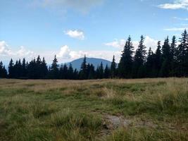 Berge aßen Wolken und Rasen Wiesen mit trockenem Gras foto