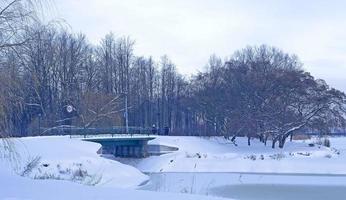Holzbrücke im Stadtpark an einem kalten Wintertag foto