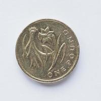britische 1-Pfund-Münze foto
