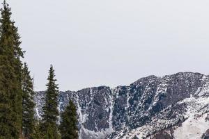 winterliche Berglandschaft mit Pinien foto