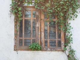 Fenster des Hauses mit Wildpflanzen, das Haus wird vernachlässigt, weil es unbewohnt ist foto