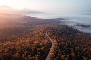 Berglandschaft und Bäume am Herbstmorgen foto