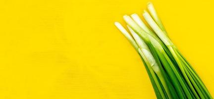 Grüne frische Zwiebelfedern auf gelbem, isoliertem Hintergrund mit einer Leerstelle für Ihren Text foto