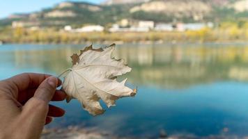 Großes herbstliches beiges Ahornblatt in der Handfläche. Bokeh-Hintergrund des blauen Sees und der Berge, Kopienraum, Makro foto
