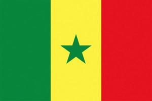 texturierte senegalesische flagge von senegal foto