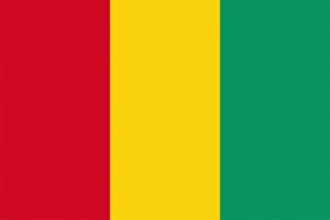 texturierte guinea-flagge von guinea foto