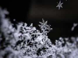 Makroaufnahme von Schneeflocken auf schwarzem Hintergrund foto