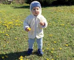 schönes Baby mit Kindergesicht posiert Fotograf foto