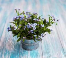 Vergissmeinnicht-Blumen in kleinem Metalleimer foto