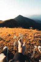 Morgenlicht und Berge, Berge im Sommermorgen und Frühlingsblumen foto