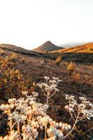 Morgenlicht und Berge, Berge im Sommermorgen und Frühlingsblumen foto