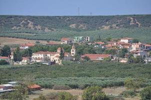 Olivenbäume in Chalkidiki foto