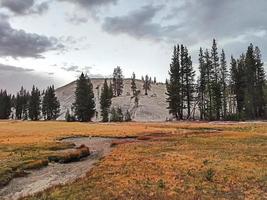 Naturlandschaft von Yosemity foto