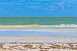 natur holbox insel strand sandbank panorama türkis wasser wellen mexiko. foto