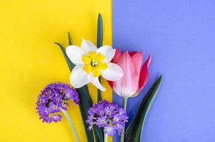 kleiner Strauß Frühlingsgartenblumen auf hellem Hintergrund. foto