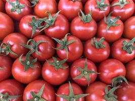 Makrofoto rote Tomaten. stock photo frisches Gemüse rote Tomaten Hintergrund foto