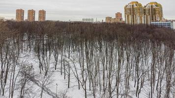 Flüge über den Park im Winter foto