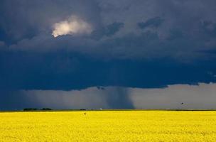 Gewitterwolken Saskatchewan foto