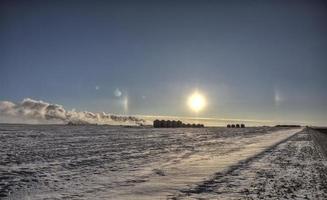 Sonnenhunde im Winter foto