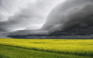 Gewitterwolken Saskatchewan foto