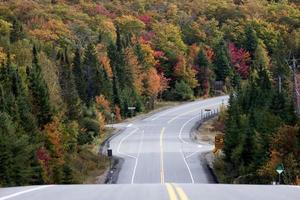 Algonquin Park Muskoka Ontario Straße foto