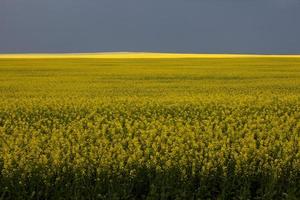 Gewitterwolken Saskatchewan foto