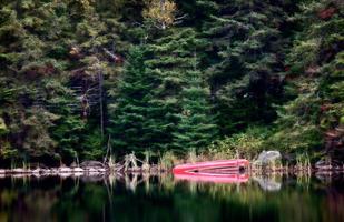 algonquin park muskoka ontario rotes kanu foto