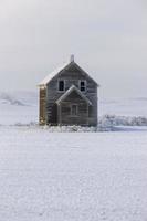 Winterfrost Saskatchewan foto