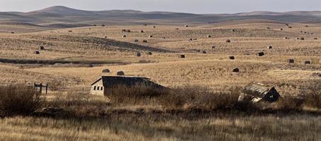 verlassene Farm Kanada foto