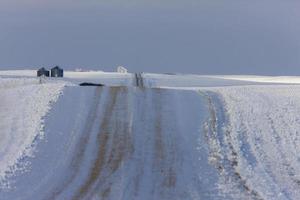 Winterfrost Saskatchewan foto