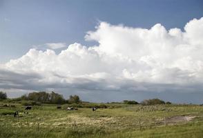 Gewitterwolken Saskatchewan foto