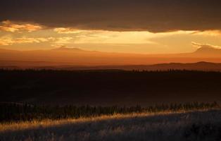 Zypressenhügel Alberta Saskatchewan foto