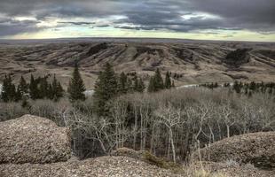 Zypressenhügel Alberta Saskatchewan foto