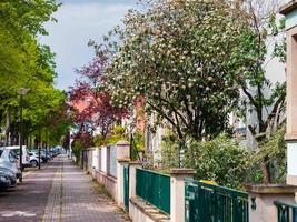 Blütezeit in der Stadt. sonniges Wetter. Straßburg. den Komfort und die Schönheit eines Frühlingstages in einem ruhigen Viertel der Stadt. foto