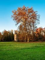 leuchtende Herbstfarben in den Vogesen. Elsass. foto