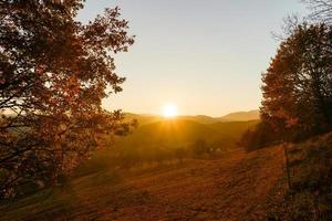 herbstfarben der natur im elsass, bunte blätter und fgoreste foto