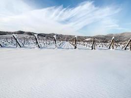 Elsässer Weinberge unter starkem Schneefall an einem sonnigen Wintertag. Details und Draufsicht. foto