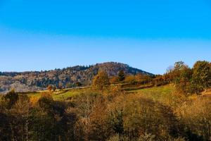 herbstfarben der natur im elsass, bunte blätter und fgoreste foto