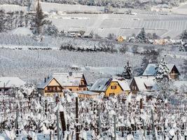 Wintergeschichte. schneebedeckte saubere lichtlandschaft des elsass. foto