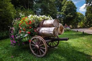 blühendes dorf im elsass. Wagen mit Baumstämmen, die mit Blumen geschmückt sind. foto