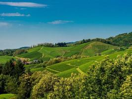 Grüne Hügel mit Sommerweinbergen im Schwarzwald foto