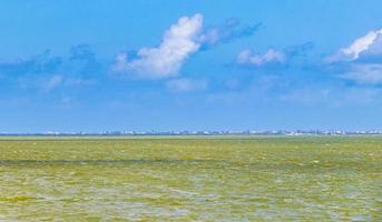 Panoramablick auf die Landschaft auf der schönen Insel Holbox, grünes Wasser, Mexiko. foto