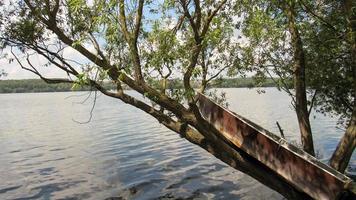 Ein altes Boot in der Nähe eines Baumes am Rand des Sees foto