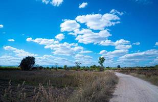 Routen oder unbefestigte Straßen in ländlichen Gebieten Thailands für Reisen zur Landwirtschaft, Gartenarbeit oder Landwirtschaft. Felder in der Trockenzeit, strahlend blauer Himmel und weiße Wolken. foto