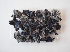 Chinesischer schwarzer Pilz foto