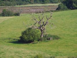 Blick auf die Landschaft in Chepstow foto