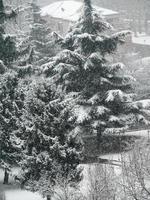 Winterschnee Hintergrund foto